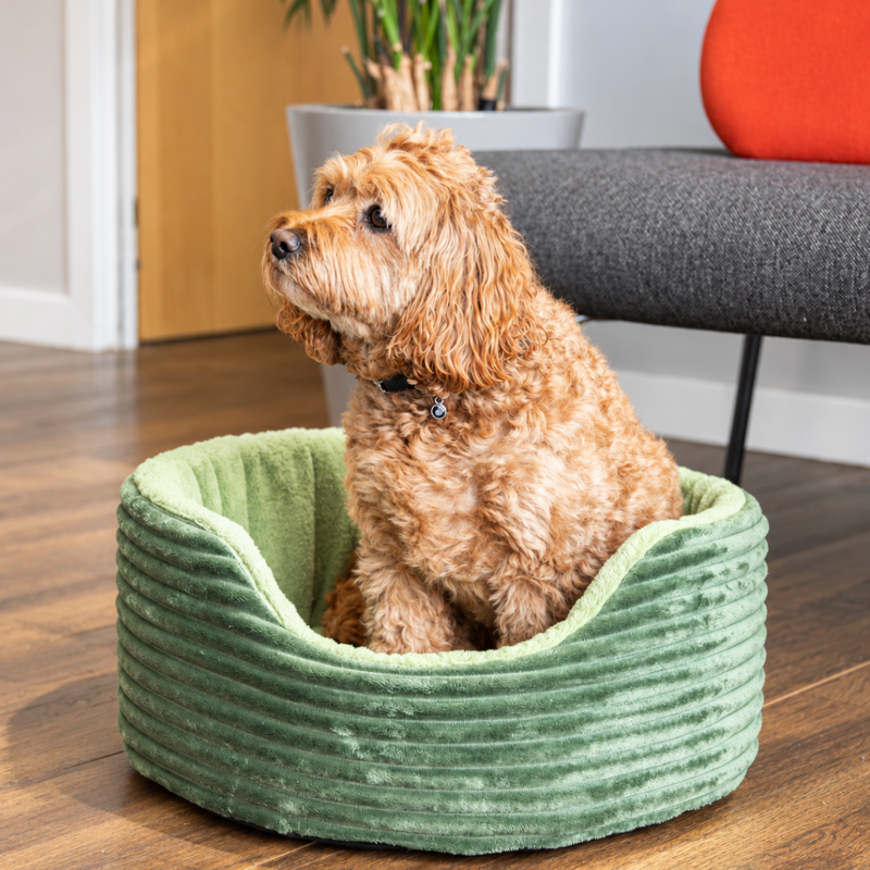 Rosewood 40 Winks Grow with me Puppy Bed-1