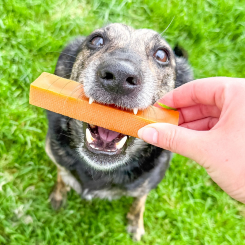 Eden Milk Chew with Pumpkin-3