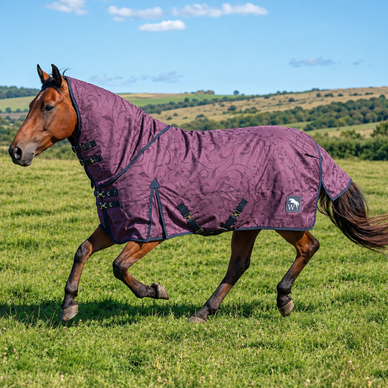 John Whitaker 250g Combo Turnout Rug - Purple Floral