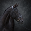 Cameo ComfortPro Show Bridle with Inside Grip Reins - Black