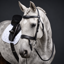 Cameo ComfortPro Anatomic Bridle with Rubber Grip Reins - Black
