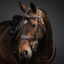 Cameo ComfortPro Anatomic Bridle with Rubber Grip Reins - Dark Brown