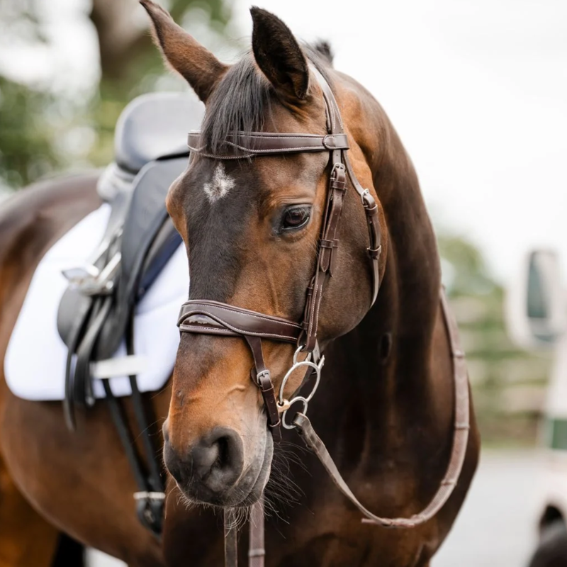 Cameo ComfortPro Anatomic Bridle with Rubber Grip Reins - Dark Brown-1