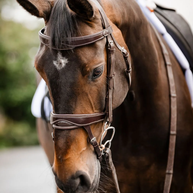 Cameo ComfortPro Anatomic Bridle with Rubber Grip Reins - Dark Brown-2