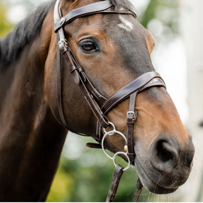 Cameo ComfortPro Anatomic Bridle with Rubber Grip Reins - Dark Brown-3