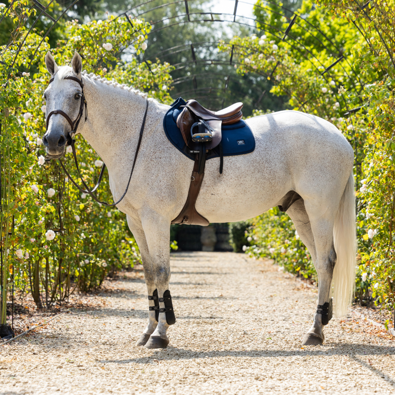 Woof Wear Elite Comfort Plus Close Contact Saddlepad - Navy-2