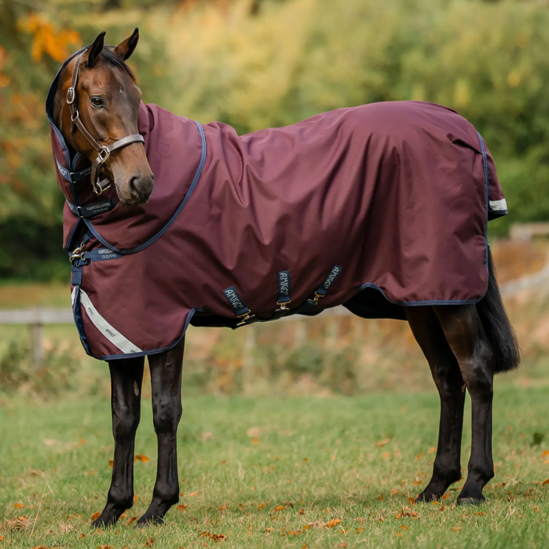 Horseware Amigo 1200D 100g Turnout Rug Plus - Burgundy/Navy/Titanium Grey