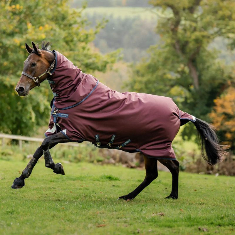Horseware Amigo 1200D 100g Turnout Rug Plus - Burgundy/Navy/Titanium Grey-7