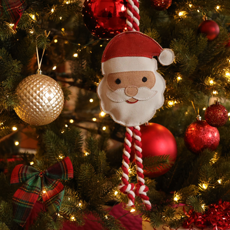 Benji and Flo Christmas Dog Toy - Ho Ho Ho Santa