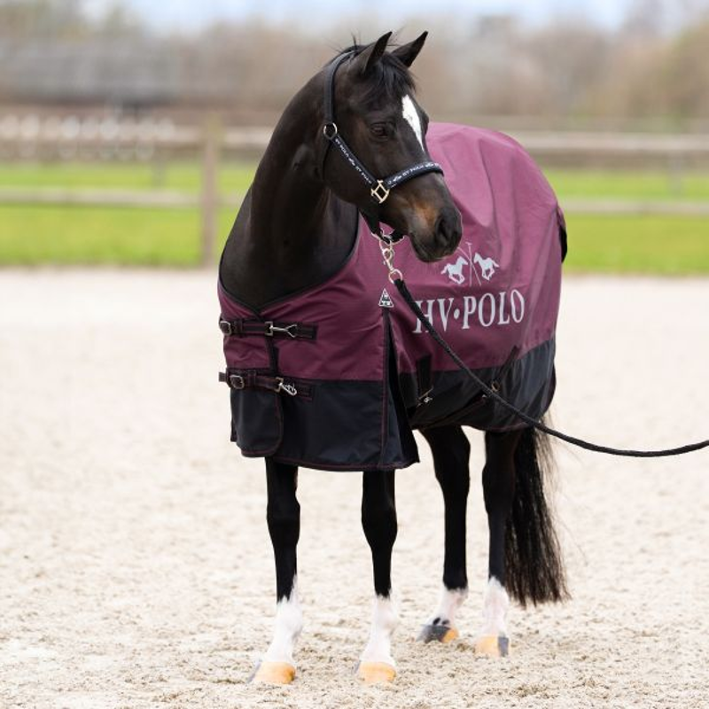 HV Polo Sacha 0g Turnout Rug - Wine
