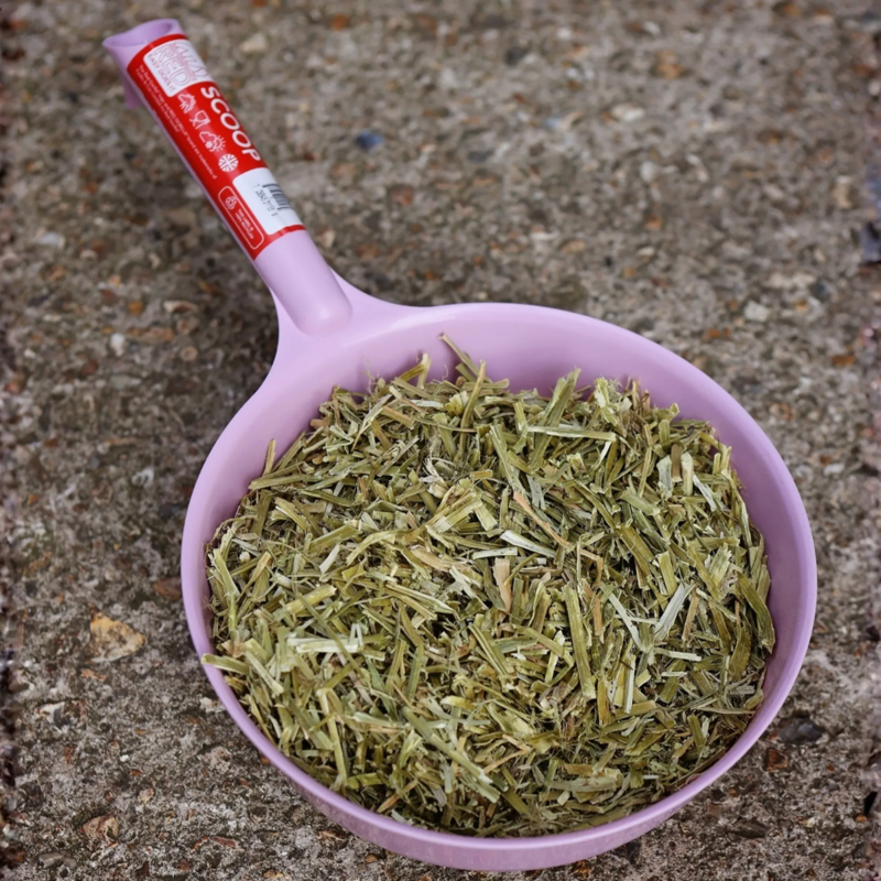 Red Gorilla Feed Scoop - Soft Pink - Limited Edition -1