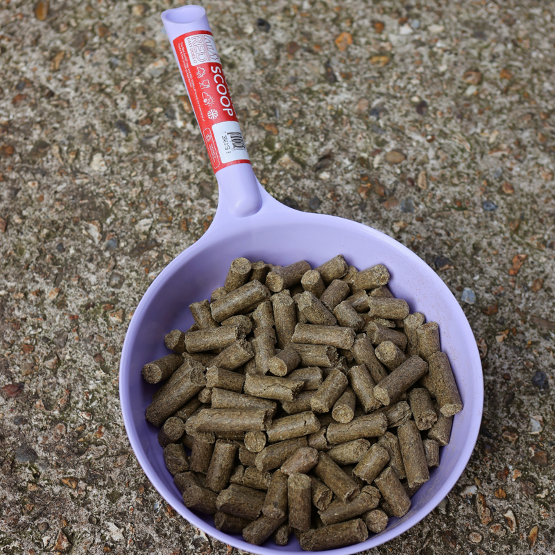 Red Gorilla Feed Scoop - Soft Purple - Limited Edition -1