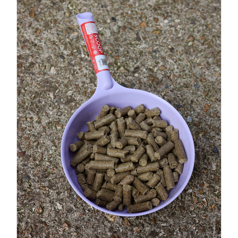 Red Gorilla Feed Scoop - Soft Purple - Limited Edition -4