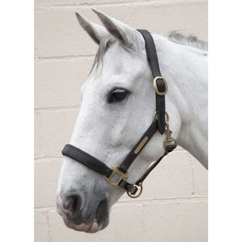 JHL Leather Headcollar - Black