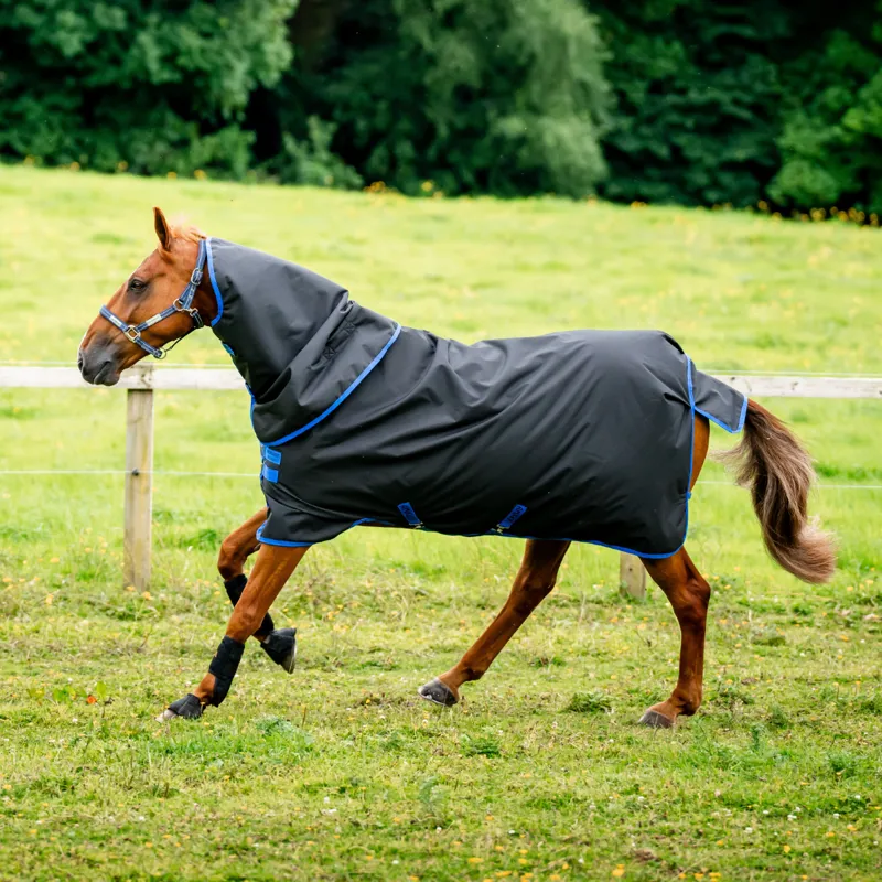 Horseware Amigo Ripstop 900 Plus 200g Turnout Rug - Black/Classic Blue-1