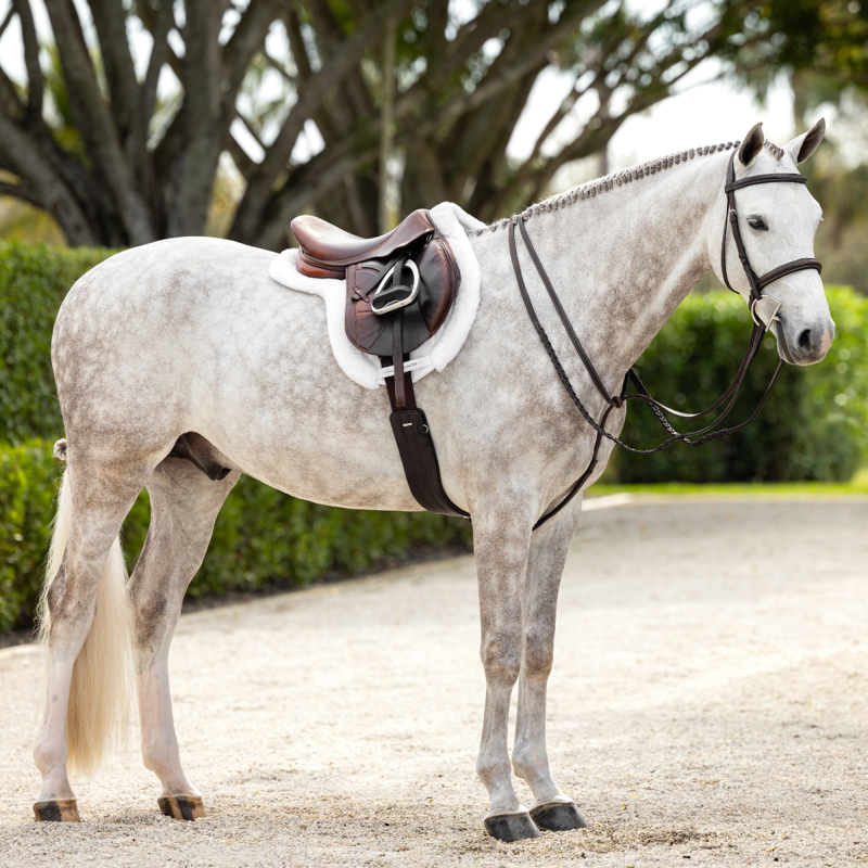 LeMieux Hunter Girth with Detachable Non-slip Liner - Havana-8