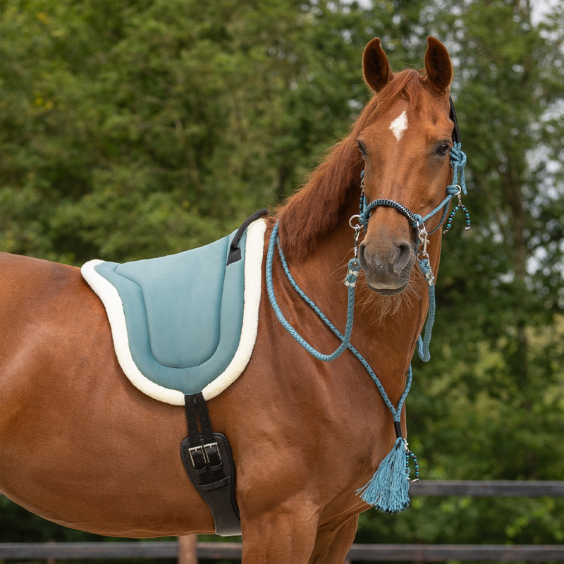 QHP Rope Halter Combi Liberty - Petrol-1