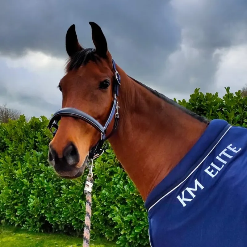 KM Elite Leather Webbing Headcollar - Navy/Black-2
