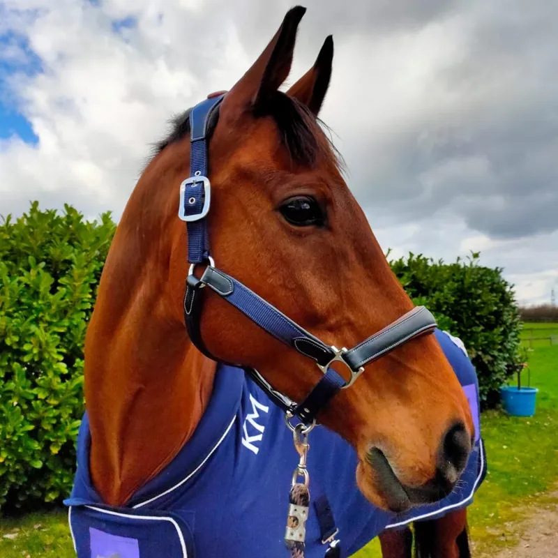 KM Elite Leather Webbing Headcollar - Navy/Black-1