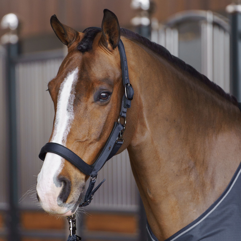 HV Polo Essential Headcollar - Navy-1