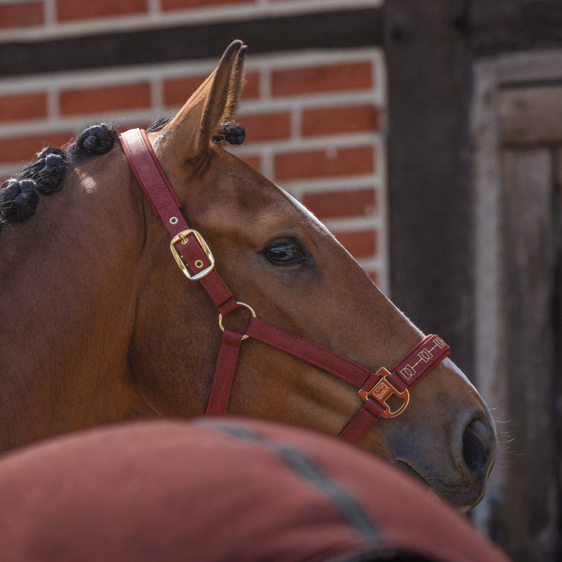 Eskadron Sparkle Double Pin Headcollar Heritage AW26 - Merlot-1