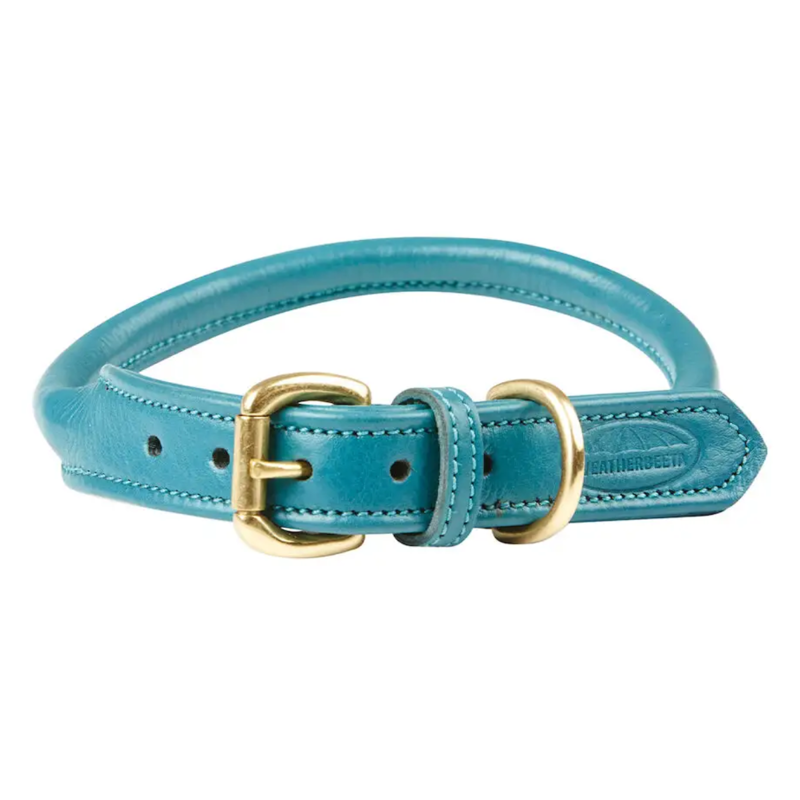 WeatherBeeta Rolled Leather Dog Collar -Teal