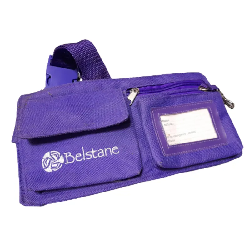 Belstane Waist Bag - Purple