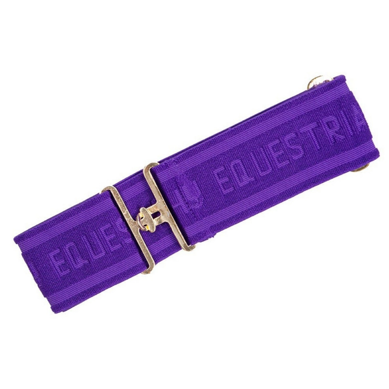 Hy Elasticated Surcingle - Purple