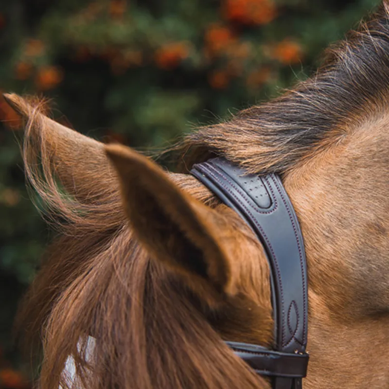 Mackey Legend Athena Headpiece - Brown