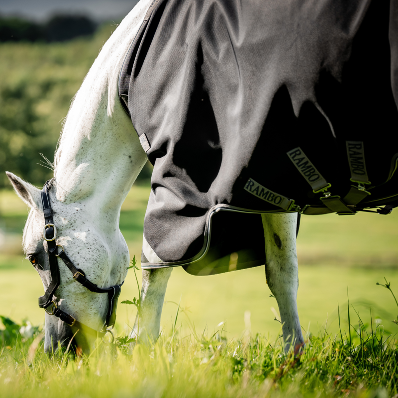 Horseware Rambo Supreme 1680D Vari-Layer 250g Turnout - Black/Thunderstorm Grey/Silver-2