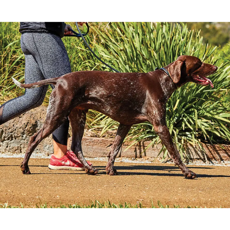 WeatherBeeta Rolled Leather Dog Lead - Black-1