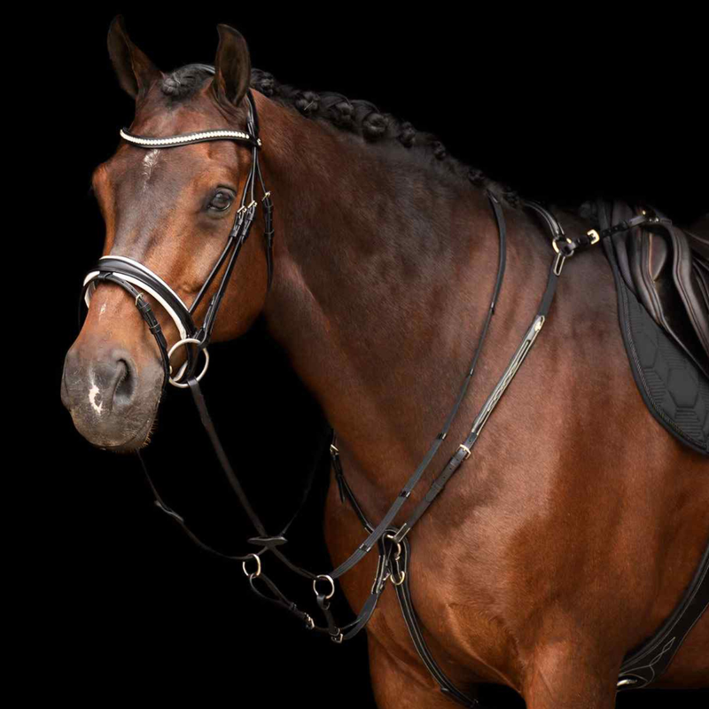 HV Polo Legacy Martingale - Black