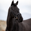 Cameo EasyStride Bridle with Reins -  Black