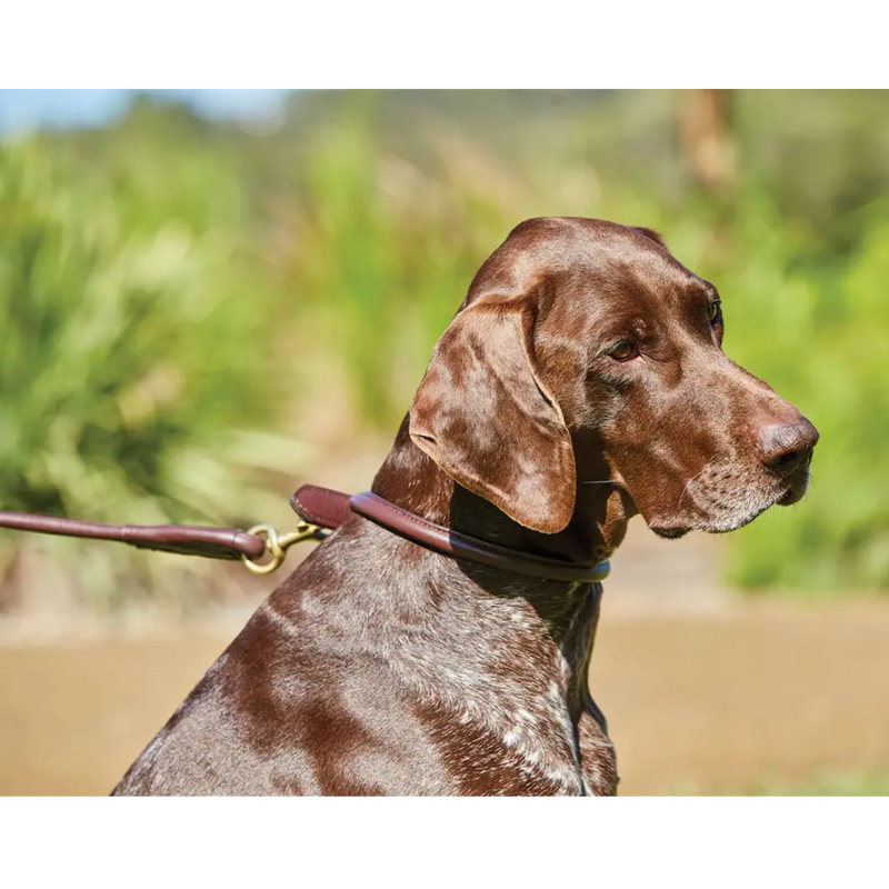 WeatherBeeta Rolled Leather Dog Lead - Brown-1