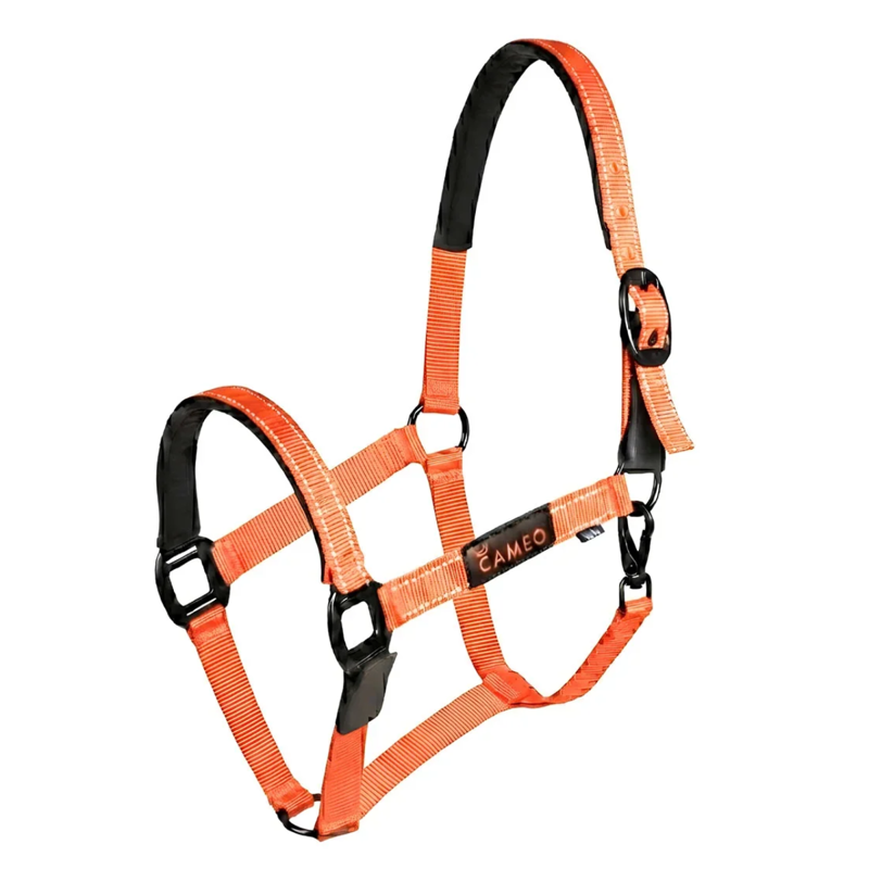 Cameo Sentinel Fieldsafe Headcollar - Orange