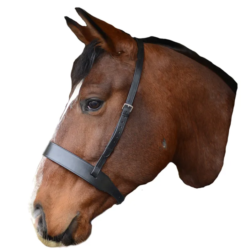 Mackey Classic Wide Flat Cavesson Noseband - Black