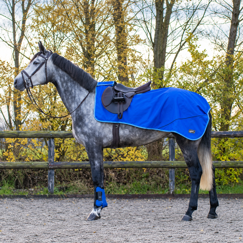 QHP Exercise Sheet Turnout Collection Fleece - Splash