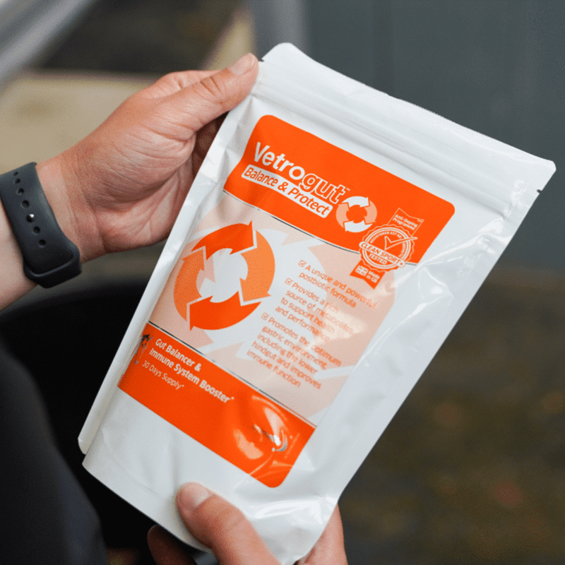 Animalife Vetrogut Balance and Protect 420g