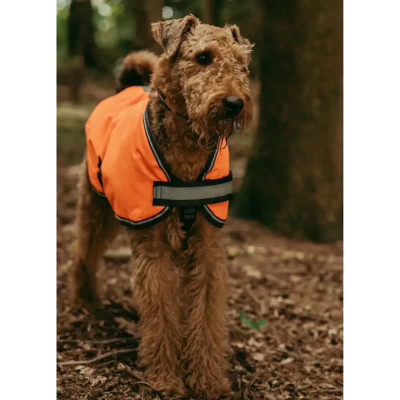 WeatherBeeta ComFiTec Reflective Parka 300D Dog Coat - Orange-1