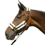 Hy Equestrian Sheepskin Headcollar - Black/Cream