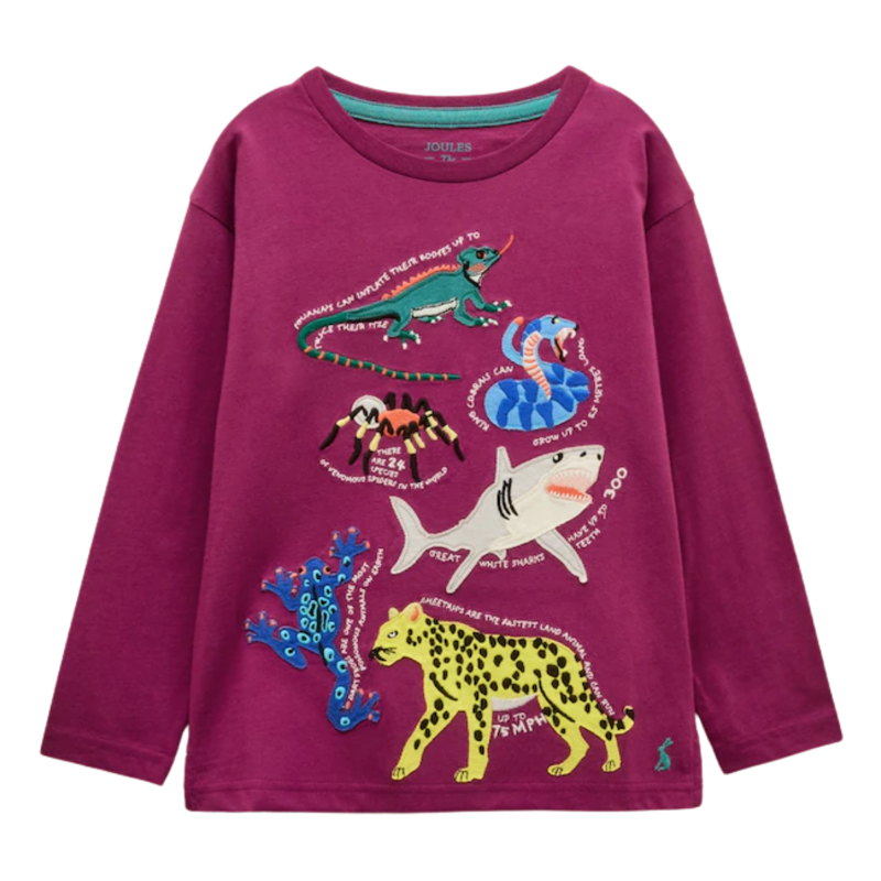 Joules Boy's Finlay Applique Long Sleeve T-Shirt - Purple