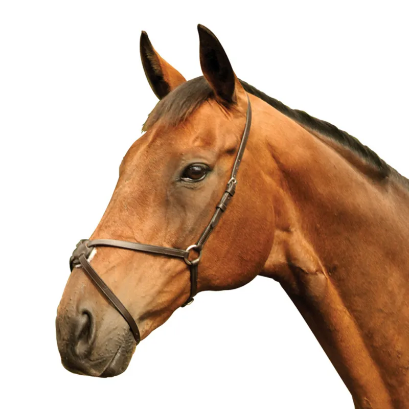 Mackey Classic Grackle Noseband  - Black