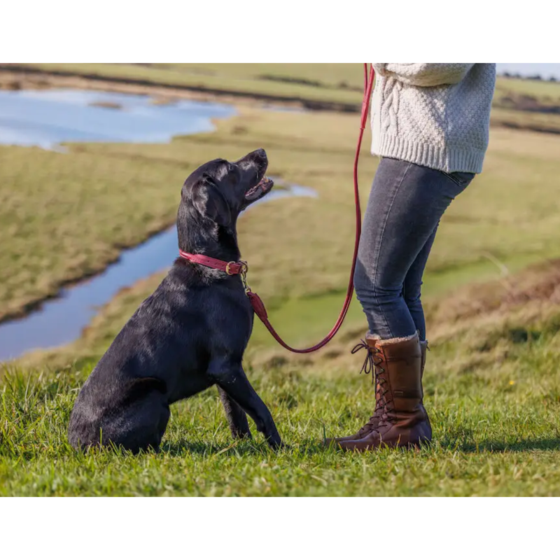 WeatherBeeta Rolled Leather Dog Lead - Maroon-1