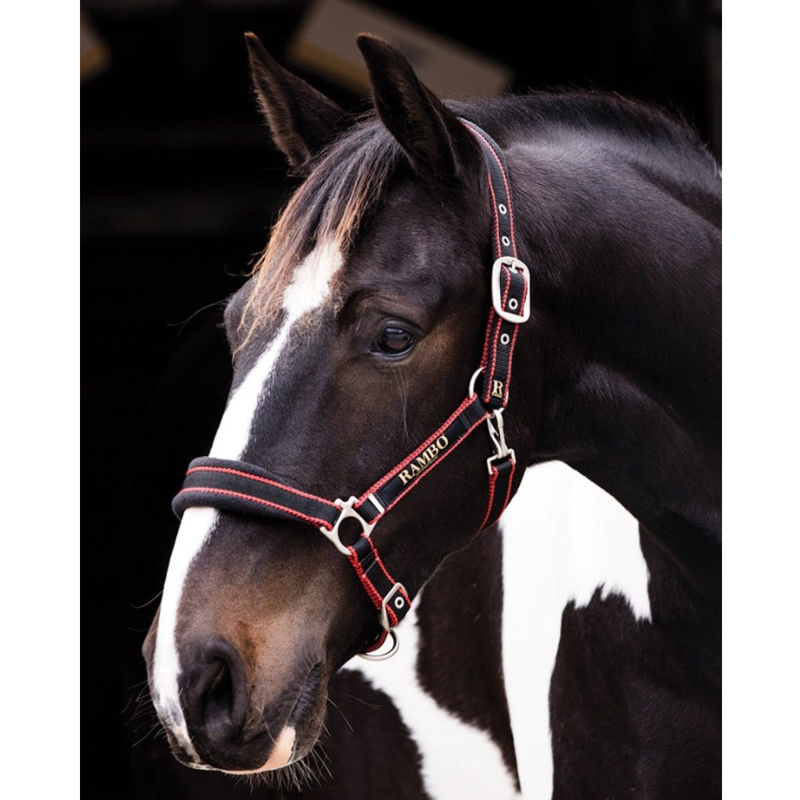 Horseware Rambo Padded Headcollar - Black/Tan/Orange