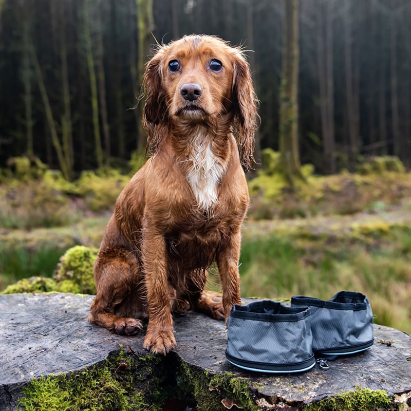 Henry Wag Snaffle Pack Bowl Set