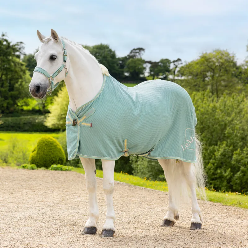 LeMieux Kudos Bamboo Cooler - Aqua