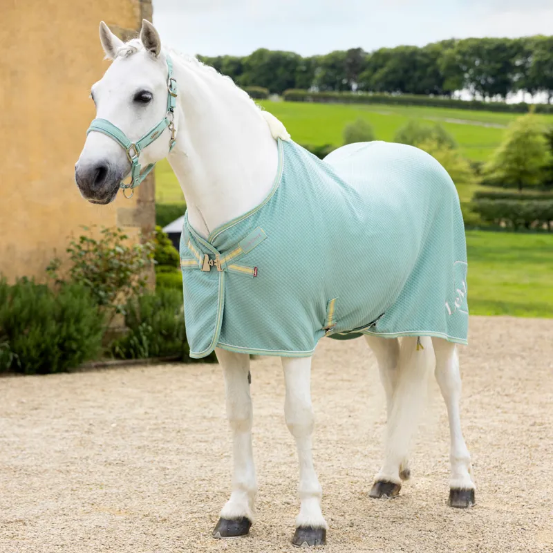 LeMieux Kudos Bamboo Cooler - Aqua-1