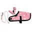 Crafty Ponies Foal Rug Set - Pink Star