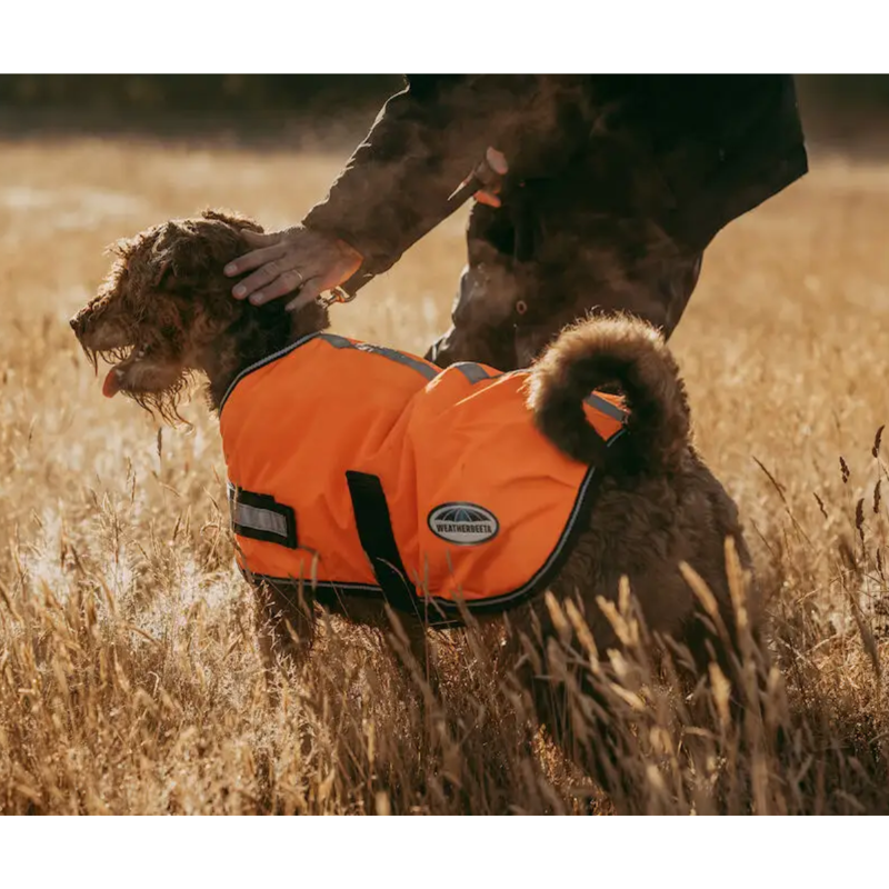 WeatherBeeta ComFiTec Reflective Parka 300D Dog Coat - Orange-2