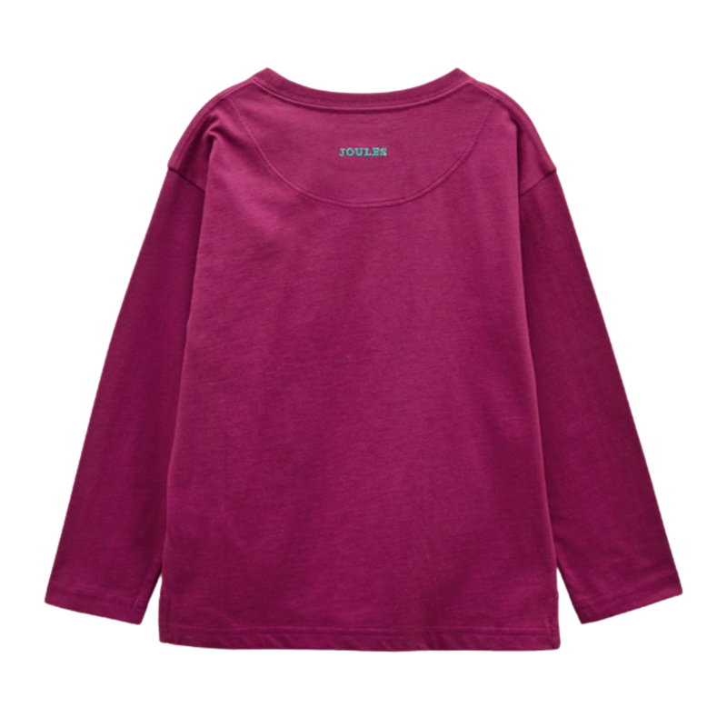 Joules Boy's Finlay Applique Long Sleeve T-Shirt - Purple-1